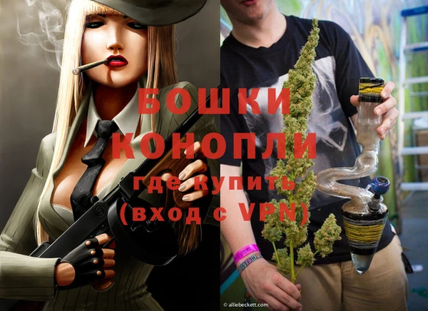 спиды Новодвинск